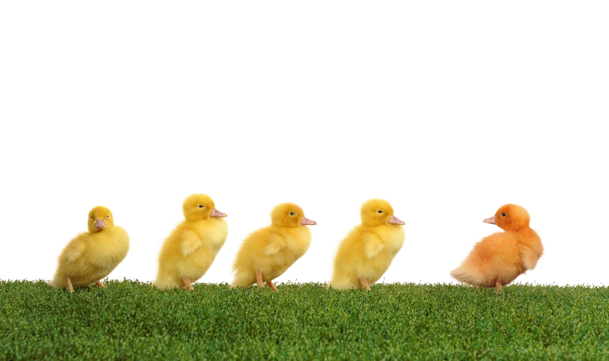 Who Sets The Betting Line? The Market Makers