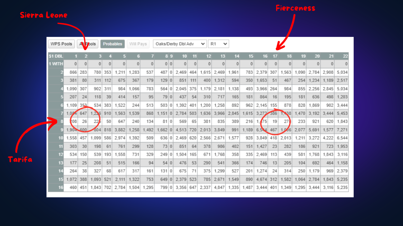 The Sports Bettor’s Guide To Betting The Kentucky Derby